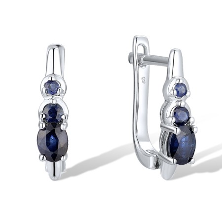 14KW Earrings Blue Sapphire (E300912SAP14KW)