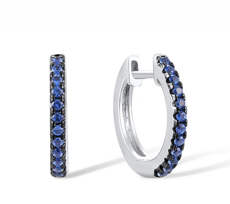 Sterling Silver w/ Black White Plating Earrings Blue Nano Cubic Zirconia (E307778BNZSK925)