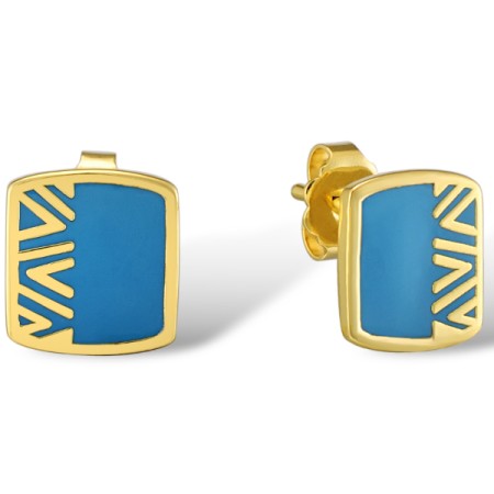 Brass w/ Yellow Gold Plating Earrings Enamel (E309974ENA1BRY)