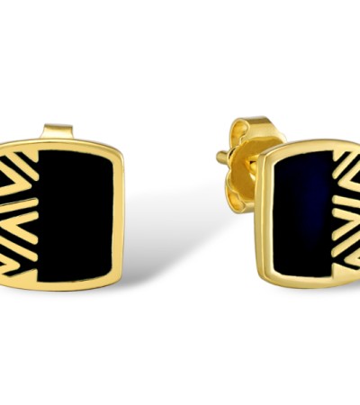 Brass w/ Yellow Gold Plating Earrings Enamel (E309974ENABRY)