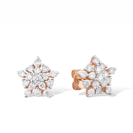 14KRW Earrings Diamond (E316368DIA14KRW)