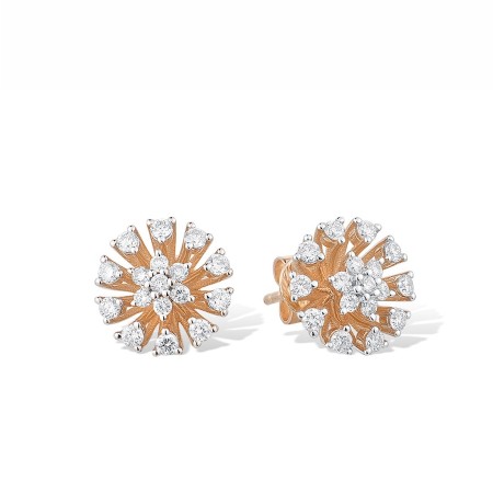 14KRW Earrings Diamond (E316371DIA14KRW)