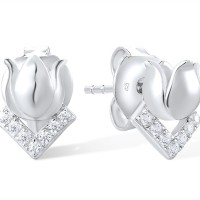 Sterling Silver Earrings White Cubic Zirconia (E317249WCZSL925)