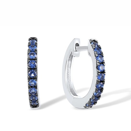 Sterling Silver w/ Black White Plating Earrings Blue Nano Cubic Zirconia (E317538BNZSK925)