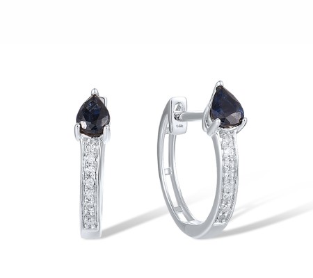 14KW Earrings Blue Sapphire,Diamond (E318069SAP14KW)