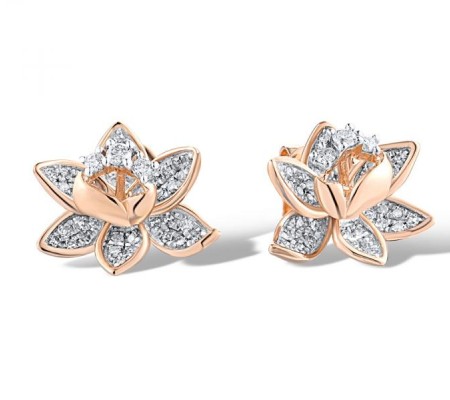 14KRW Earrings Diamond (E319054DIA14KRW)