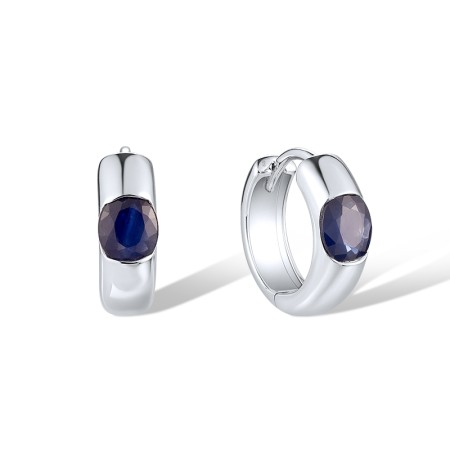 14KW Earrings Blue Sapphire (E319772SAP14KW)