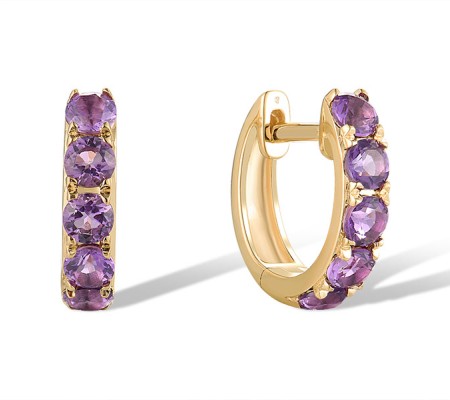 14KY Earrings Amethyst (E319837AME14KY)