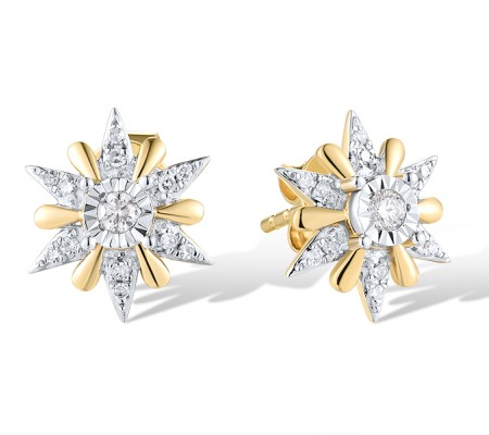 14TT Earrings Diamond (E320034DIA14TT)
