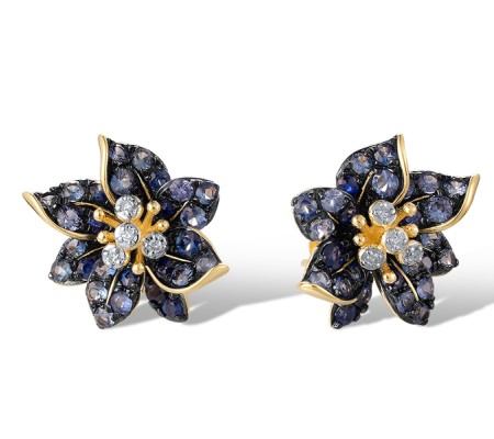 14KYWB Earrings Blue Sapphire,Diamond (E321060SAP14KYWB)