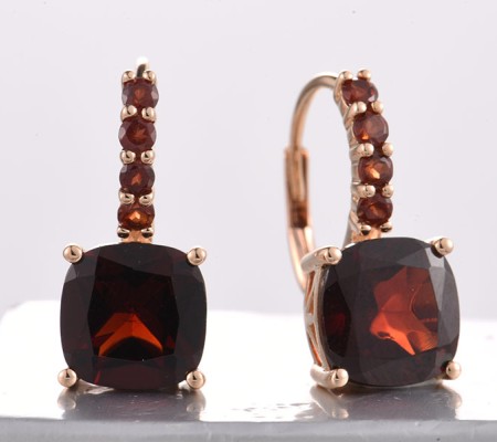 14KR Earrings Garnet (E321747GAN14KR)