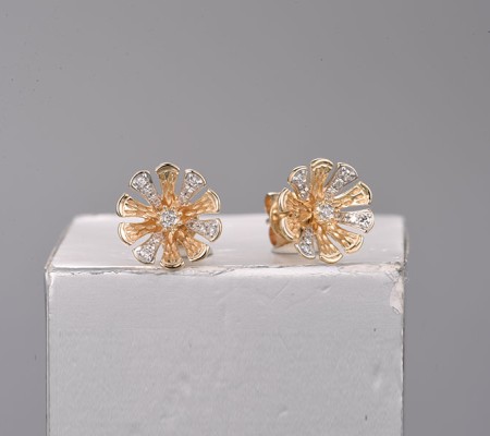 14KYW Earrings Diamond (E322263DIA14KYW)