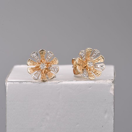 14KYW Earrings Diamond (E322263DIA14KYW)