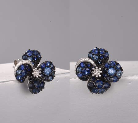 14KWB Earrings Blue Sapphire,Diamond (E322313SAP14KWB)