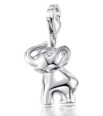 Sterling Silver Charms  (H303276NILSL925)