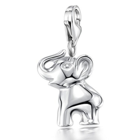 Sterling Silver Charms  (H303276NILSL925)