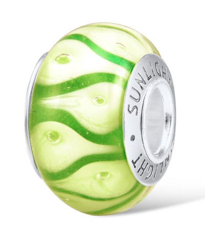 Sterling Silver Charms  (H307113GLBSL925)