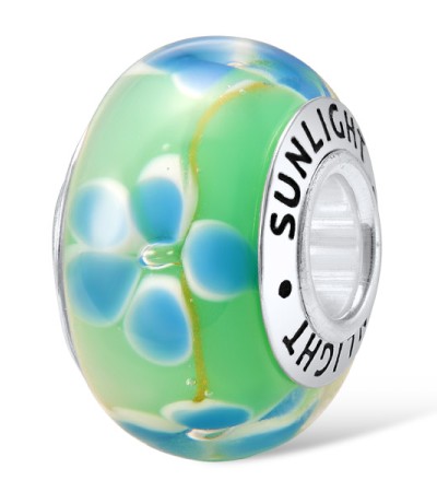 Sterling Silver Charms  (H307115GLBSL925)