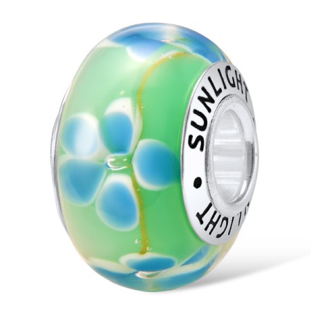 Sterling Silver Charms  (H307115GLBSL925)