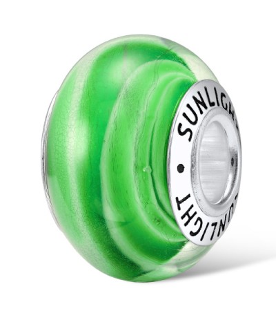 Sterling Silver Charms  (H307118GLBSL925)