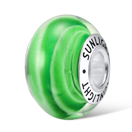 Sterling Silver Charms  (H307118GLBSL925)