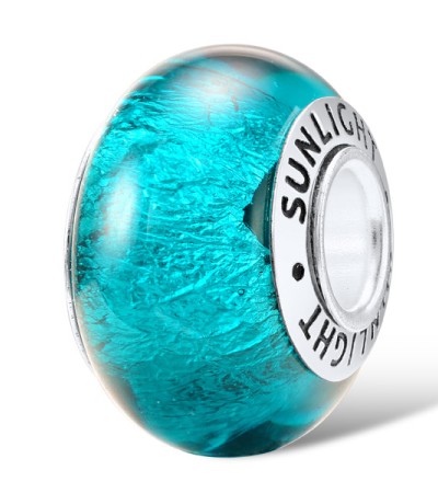 Sterling Silver Charms  (H307502GLBSL925)