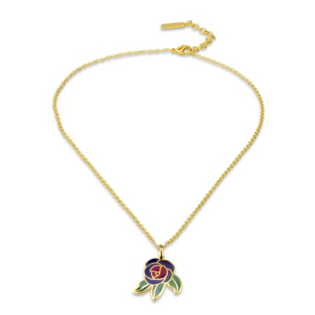 Brass w/ Yellow Gold Plating Necklace Enamel (N309914EA1BRY)