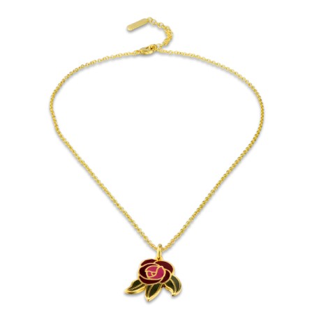 Brass w/ Yellow Gold Plating Necklace Enamel (N309914EABRY)