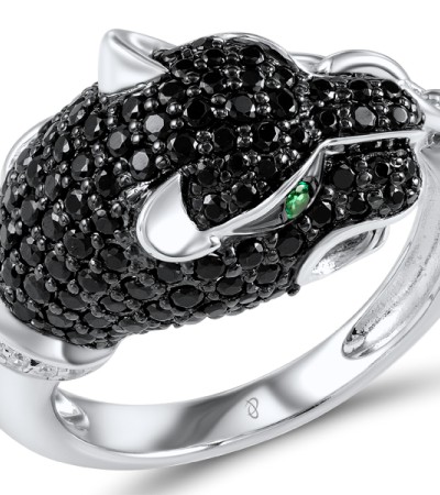 R304389SBGSZSK925-4.75