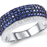 Sterling Silver w/ Black White Plating Ring Blue Nano Cubic Zirconia,White Cubic Zirconia (R307204BZZSK925) - US 5.5