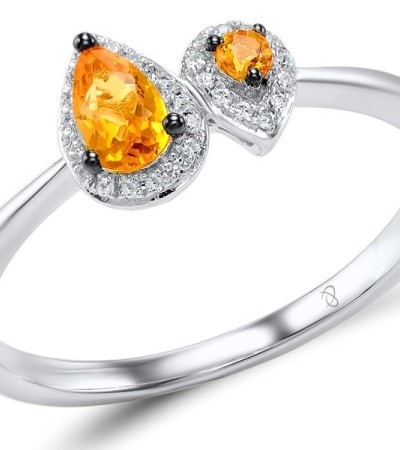 R307978ORYZSK925-6.5