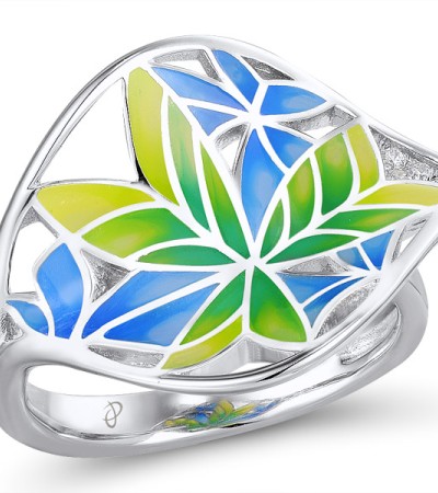 R308607ENA2SL925-5.5