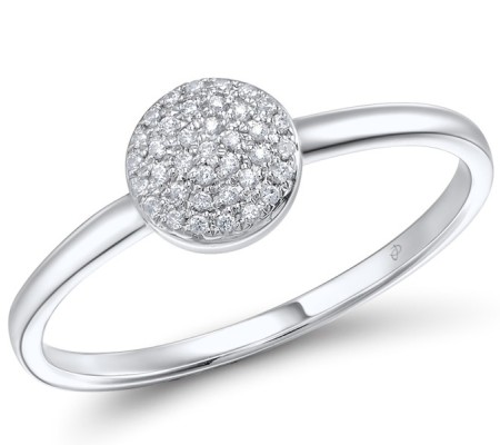 14KW  Ring(R309041DIA14KW)