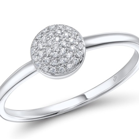 14KW  Ring(R309041DIA14KW)