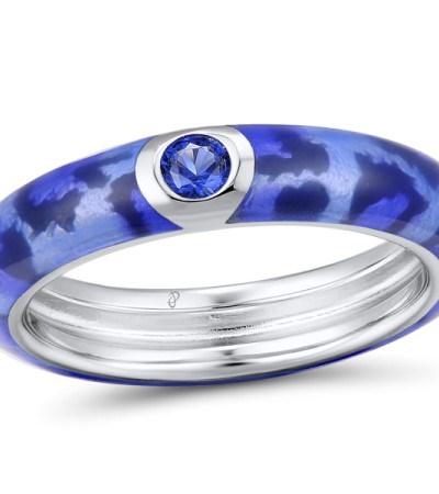 R311202ENA5SL925-6.75