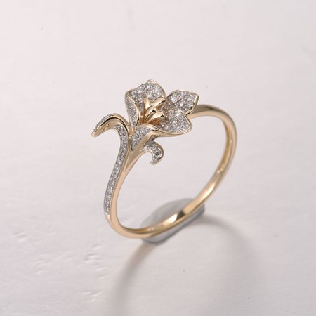 14KYW  Diamond Ring(R321611DIA14KYW)